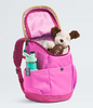 The North Face Youth Mini Explorer Backpack