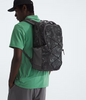 The North Face Jester Backpack
