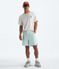 The North Face Men's Action Shorts 2.0