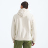 The North Face Men's Evolution Half Dome Regular Hoodie