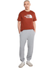 The North Face Men's Evolution Half Dome Regular Short-Sleeve Tee