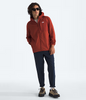 The North Face Men's TNF™ Performance Fleece Full Zip Hoodie