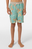 O'Neill Boy's Hermosa Elastic Waist Lined 16" Swim Trunks