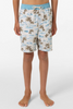 O'Neill Boy's Hermosa Elastic Waist Lined 16" Swim Trunks