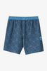 O'Neill Men's Hermosa Retro 17" Elastic Waist Swim Trunks