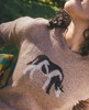 Toad & Co Women's Wasatch Crew Sweater