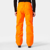 Helly Hansen Sogn Cargo Ski Pants