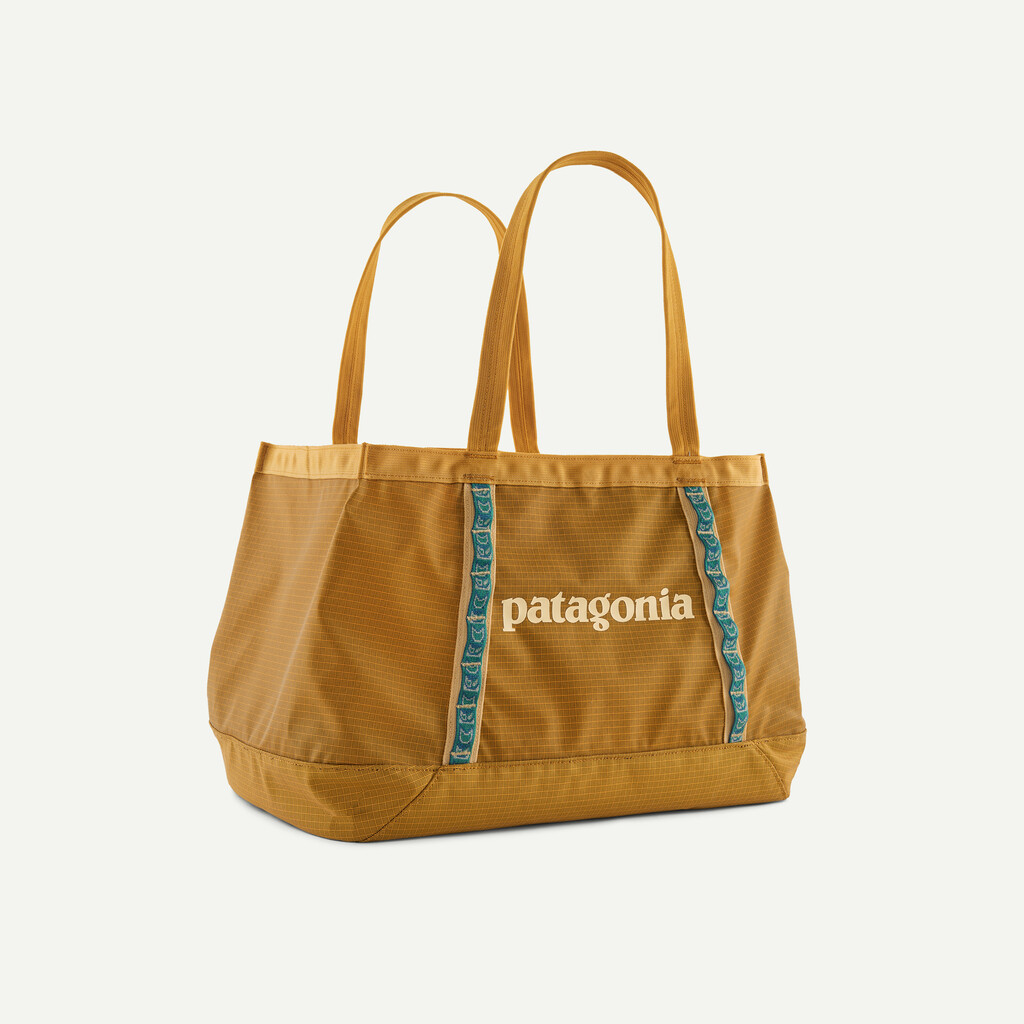 Patagonia Black Hole Tote 25L - S25 - Aj's Ski and Sports