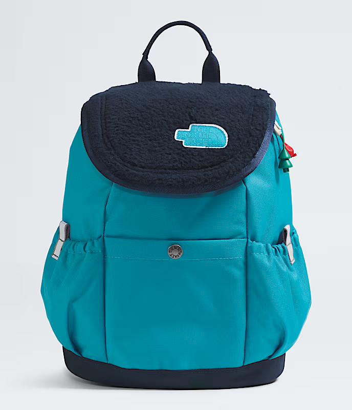 Youth Mini Explorer Backpack | The North Face (NF0A52VW)