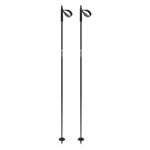 Fischer BC Offtrack Poles