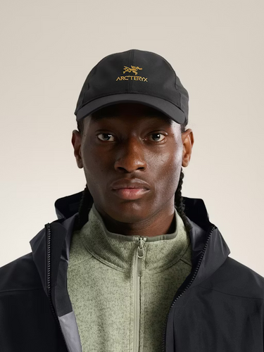 Arc'Teryx Bird Word Cap