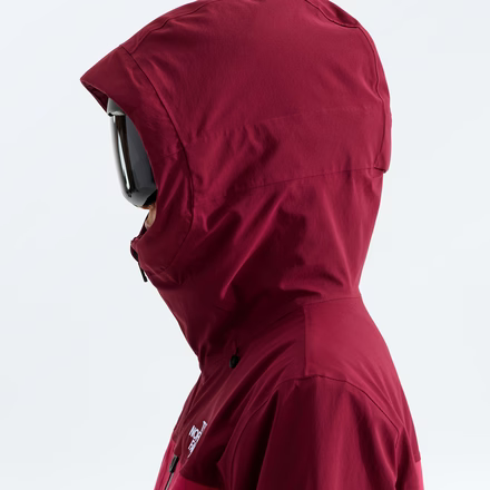 The North Face Women's Freedom Insulated Jacket