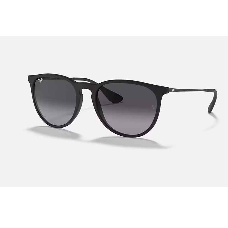 Ray-Ban Erika - Black Frame
