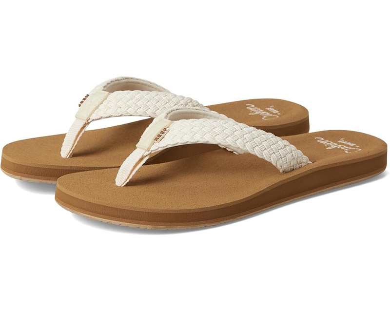 Reef Baja Maria