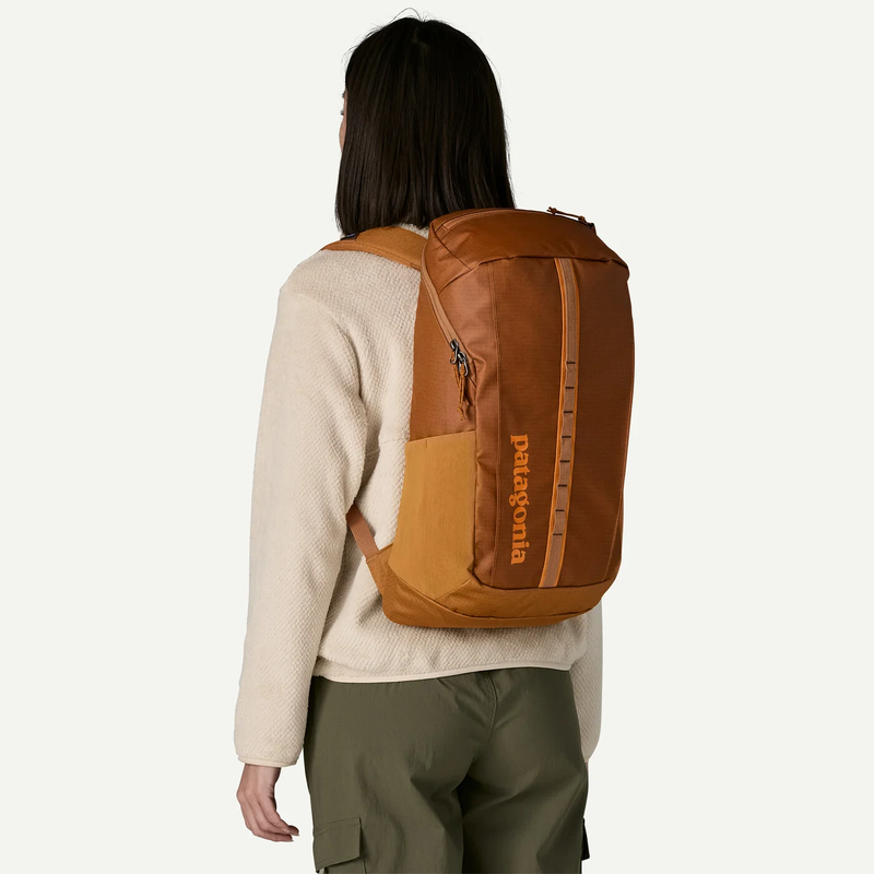 Patagonia Black Hole Pack 25L