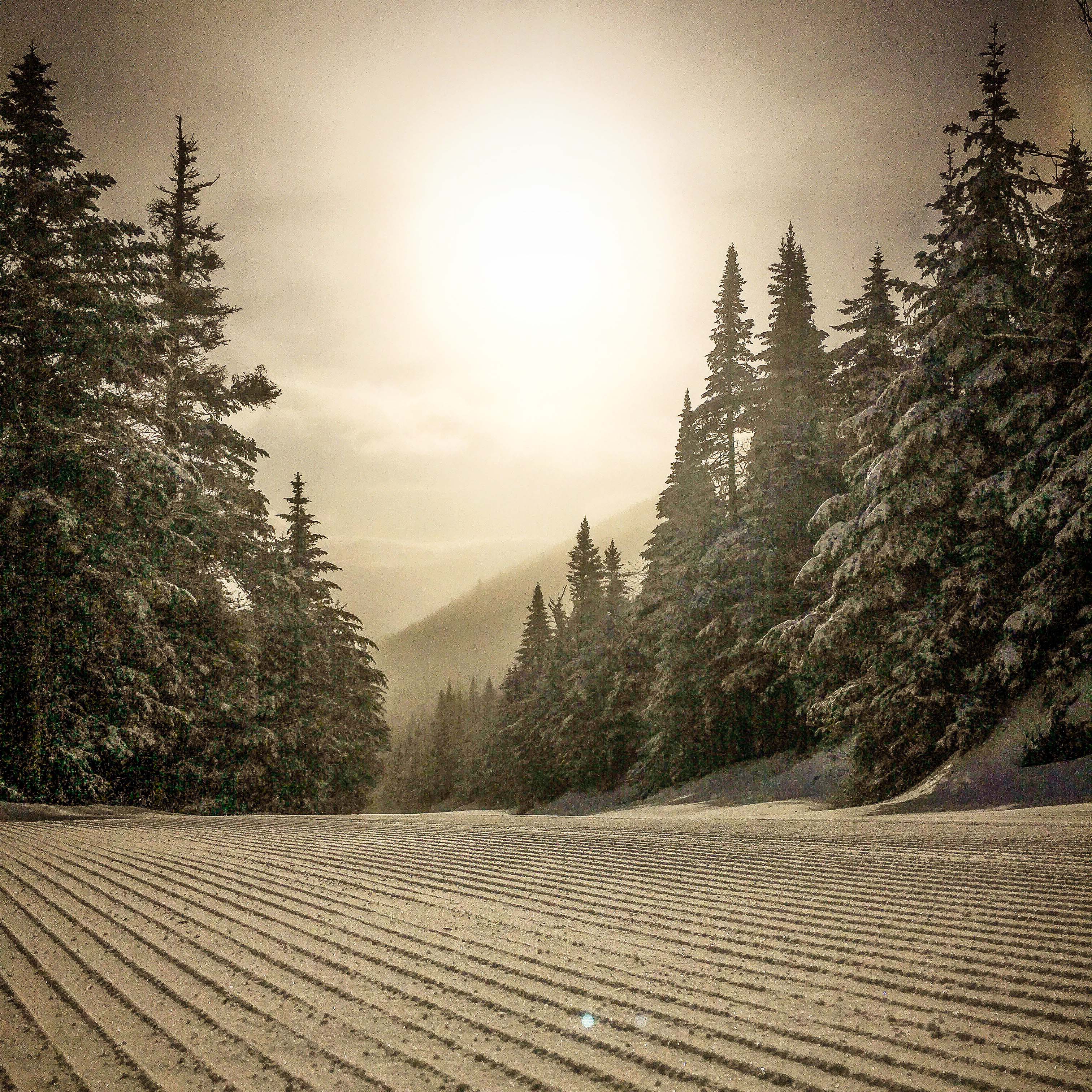 Now Leasing Skis and Snowboards