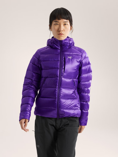 Arc'Teryx Women's Cerium SV Hoody