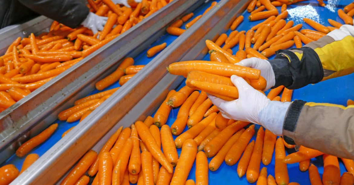 Benefits of Environmental Monitoring in Food Processing