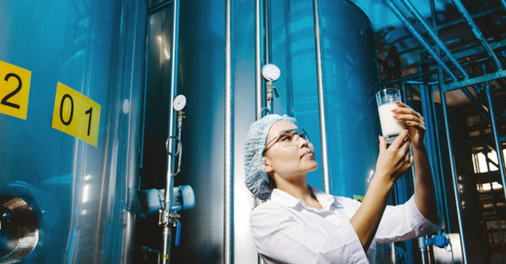 The Role of Data Loggers in the Milk Pasteurization Process