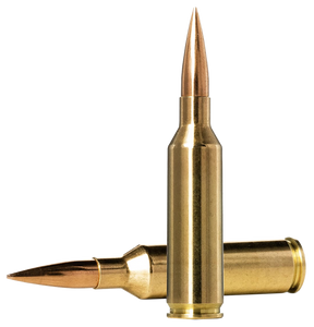 Norma Ammunition 10166462 Dedicated Precision Golden Target Match 6.5PRC 143gr Hollow Point Boat Tail 20 Per Box/10 Case Norma Ammunition 10166462 Dedicated Precision Golden Target Match 6.5PRC 143gr Hollow Point Boat Tail 20 Per Box/10 Case
