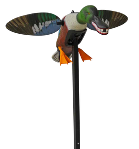 Mojo Outdoors HW2490 Elite Series Spoonzilla Duck Species Multi Color Molded Plastic Mojo Outdoors HW2490 Elite Series Spoonzilla Duck Species Multi Color Molded Plastic