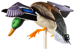 Avian X AVXAVXDP101 PowerFlight Mallard Spinning Wing Duck Decoy Multi-Color Dual Mode Remote Avian X AVXAVXDP101 PowerFlight Mallard Spinning Wing Duck Decoy Multi-Color Dual Mode Remote