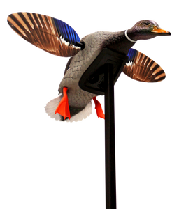 Mojo Outdoors HW24703P Elite Series Mini Mallard Drake Species Multi Color Plastic Mojo Outdoors HW24703P Elite Series Mini Mallard Drake Species Multi Color Plastic