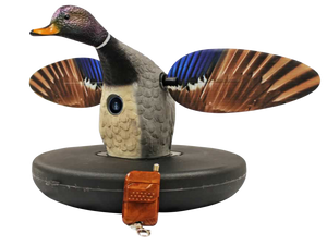 Mojo Outdoors HW2494 Elite Series Drake Floater Mallard Species Multi Color Plastic Features Remote Control Mojo Outdoors HW2494 Elite Series Drake Floater Mallard Species Multi Color Plastic Features Remote Control
