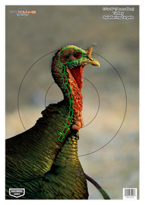 Birchwood Casey 35403 Pregame Turkey Paper Hanging Universal 12" x 18" Multi-Color 8 Per Pkg Birchwood Casey 35403 Pregame Turkey Paper Hanging Universal 12" x 18" Multi-Color 8 Per Pkg