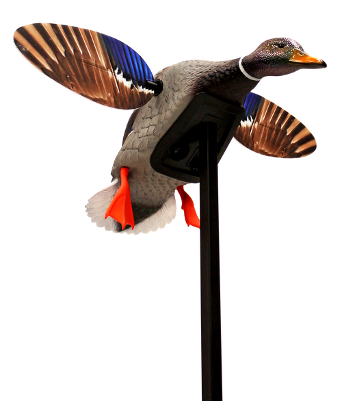 Mojo Outdoors HW24703P Elite Series Mini Mallard Drake Species Multi Color Plastic