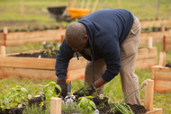 Our Community Garden