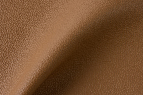 Polaris Biscuit