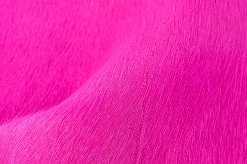 Catalina Fuchsia