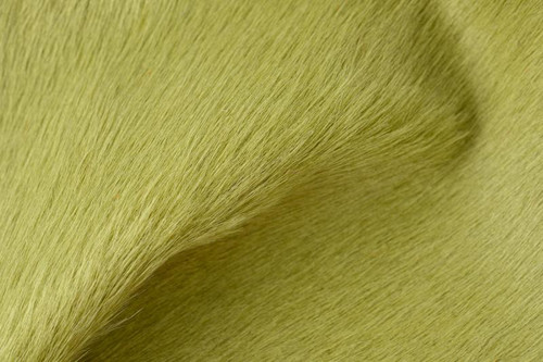 Catalina Pistachio
