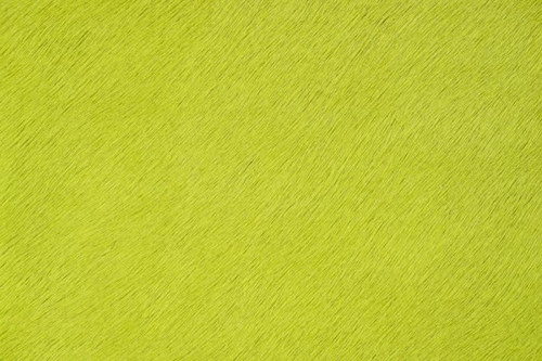Catalina Chartreuse