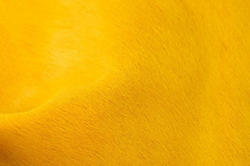 Catalina Turmeric