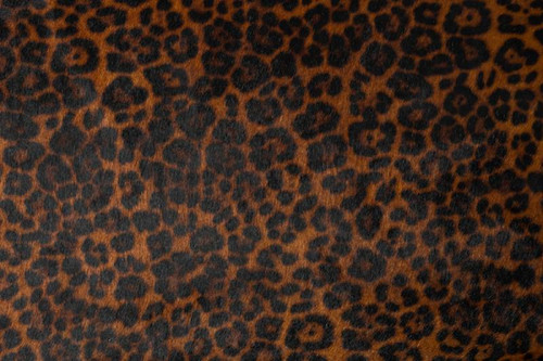 Leopard Chestnut Leopard Chestnut