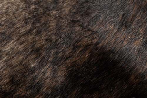 Serengeti Dark Brindle