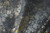 Terrapin