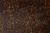 Leopard Chestnut