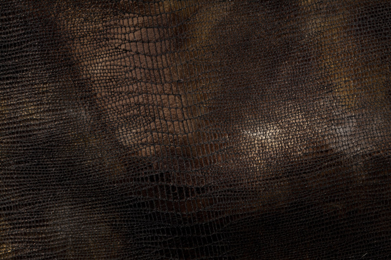 フラテッリジャコメッティ FG123 TEJUS LIZARD F.lli Giacometti,フラテッリジャコメッティ,ジャコメッティ
