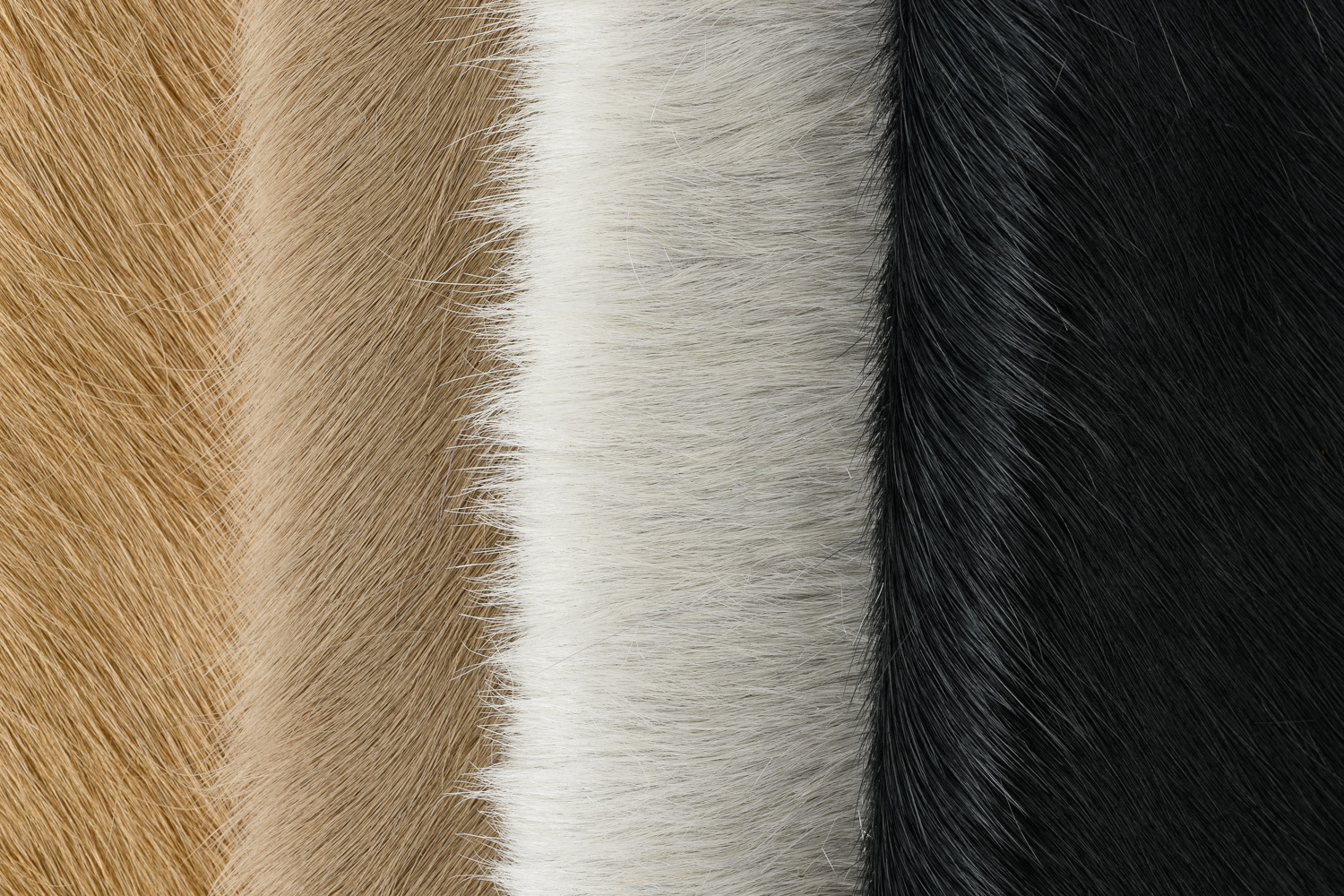 Catalina Leather
