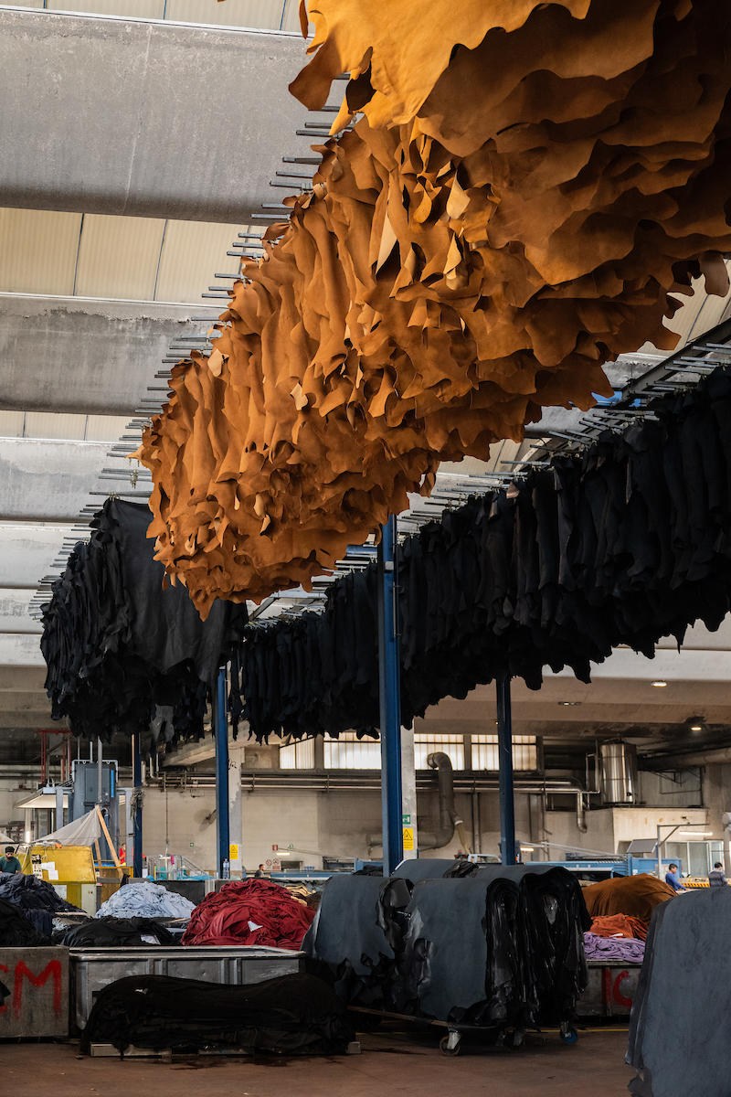 Leather hides in a tannery