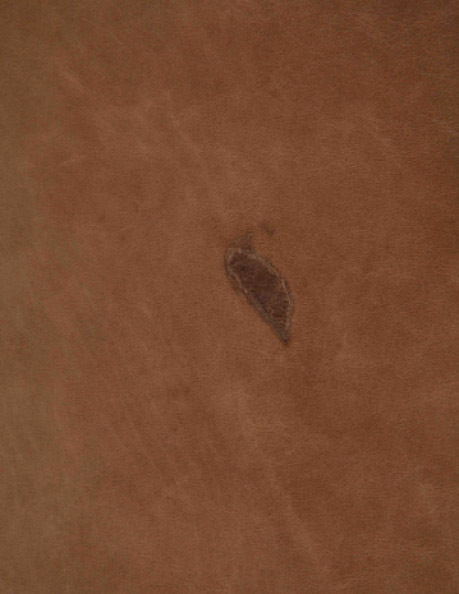 Bite mark in a leather hide