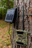 WiseEye Solar Panel Mounted on a tree