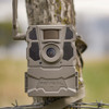 Tactacam Reveal X Gen 2 Cellular Camera mounted to tree