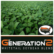 Real World Soybeans Northern Blend