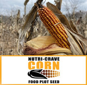 Real World Wildlife Products Nutri-Crave Corn