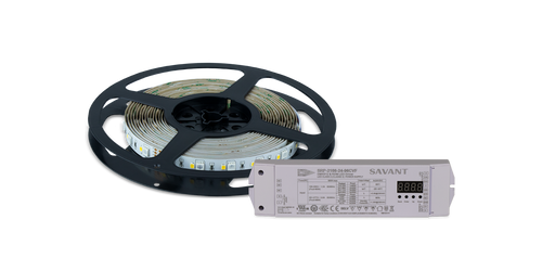 START KIT FOR DMX TUNABLE WHITE STRIP LIGHTING (5M)