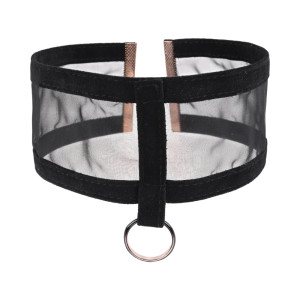 Sportsheets Sex & Mischief Sheer Day Collar Sportsheets Sex & Mischief Sheer Day Collar